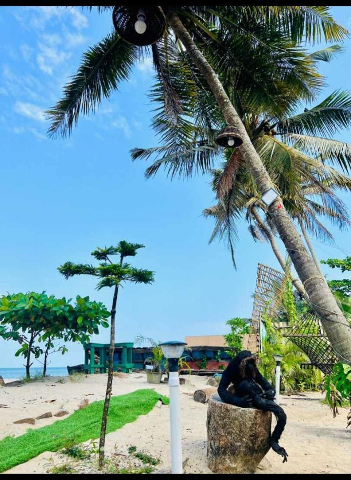 Alivious Beach Homestay Alappuzha Bagian luar foto